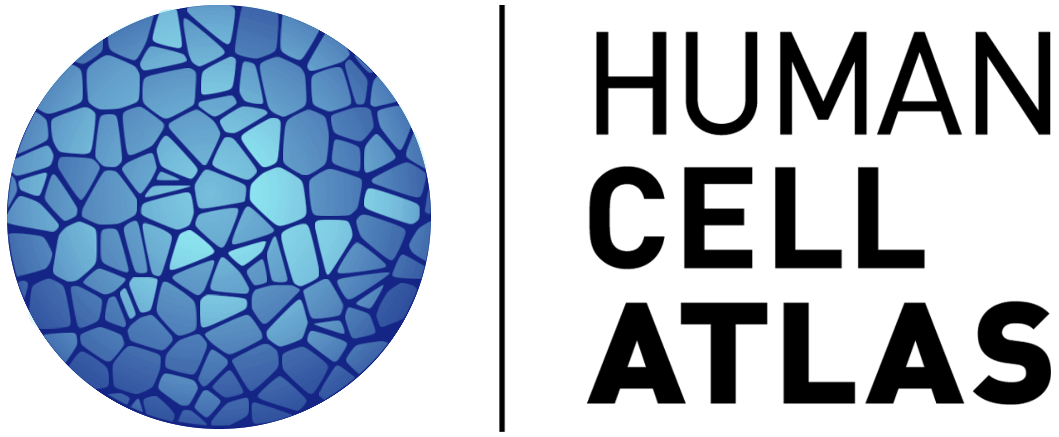 Human Cell Atlas Logo